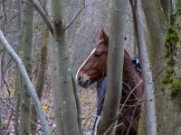 20191224_113827_Heldrastein,Heiligabend,Andacht,30-Jahre